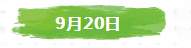 1538028022772.png